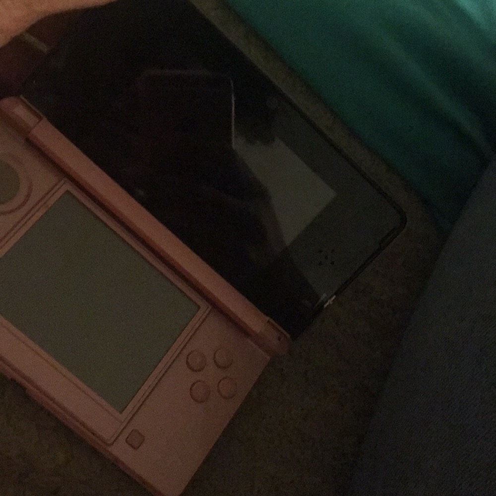 nintendo3ds game